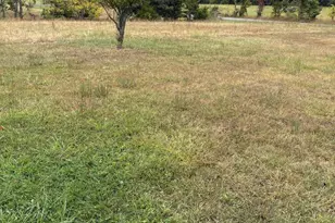 1667 J C Markwood Rd, Purgitsville, WV 26845 - Photo 39