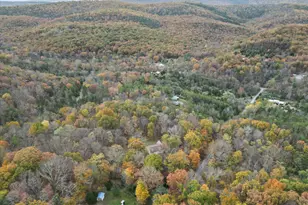 556 High View Rd, Lost City, WV 26810 - Photo 43