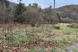 Wildlife Dr, Lost City, WV 26810 - Photo 1