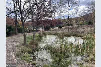 307 Earl Barr Lane, Fisher, WV 26818 - Photo 19