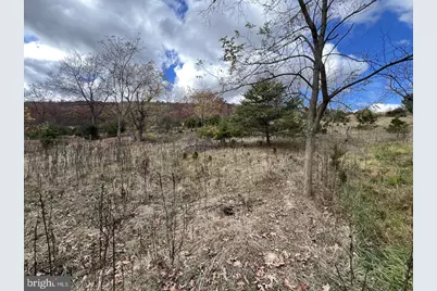 307 Earl Barr Lane, Fisher, WV 26818 - Photo 17