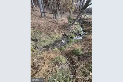 307 Earl Barr Lane, Fisher, WV 26818 - Photo 37