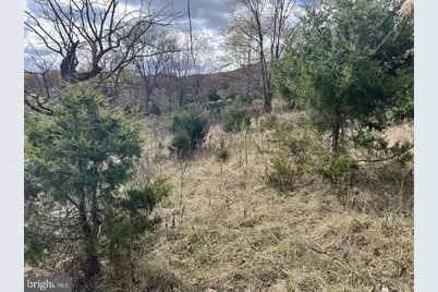 307 Earl Barr Lane, Fisher, WV 26818 - Photo 21