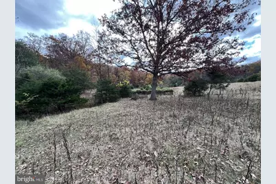 307 Earl Barr Lane, Fisher, WV 26818 - Photo 15