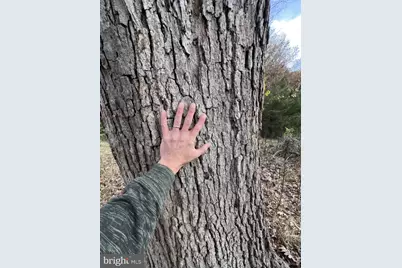 307 Earl Barr Lane, Fisher, WV 26818 - Photo 23