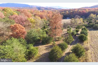 307 Earl Barr Lane, Fisher, WV 26818 - Photo 77