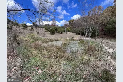 307 Earl Barr Lane, Fisher, WV 26818 - Photo 13