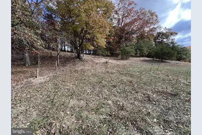 307 Earl Barr Lane, Fisher, WV 26818 - Photo 33