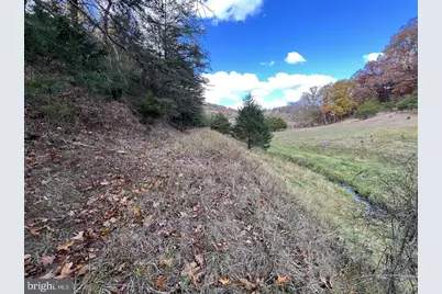 307 Earl Barr Lane, Fisher, WV 26818 - Photo 41