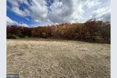 307 Earl Barr Lane, Fisher, WV 26818 - Photo 5