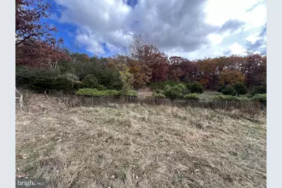 307 Earl Barr Lane, Fisher, WV 26818 - Photo 9