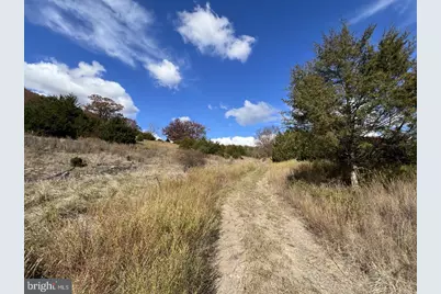 307 Earl Barr Lane, Fisher, WV 26818 - Photo 75