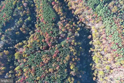 299 Ashton Woods, Moorefield, WV 26836 - Photo 71