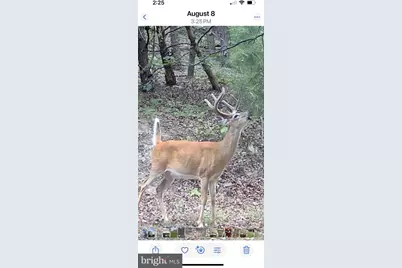 299 Ashton Woods, Moorefield, WV 26836 - Photo 51