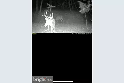 299 Ashton Woods, Moorefield, WV 26836 - Photo 47