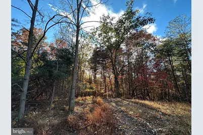 299 Ashton Woods, Moorefield, WV 26836 - Photo 31