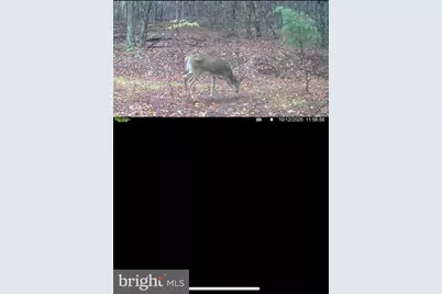 299 Ashton Woods, Moorefield, WV 26836 - Photo 45