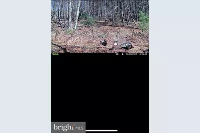 299 Ashton Woods, Moorefield, WV 26836 - Photo 43