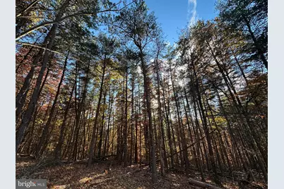 299 Ashton Woods, Moorefield, WV 26836 - Photo 25