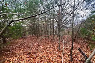 158 Eastern Dr, Moorefield, WV 26836 - Photo 7