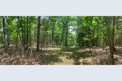 0 Slate Rock Run, Wardensville, WV 26851 - Photo 1