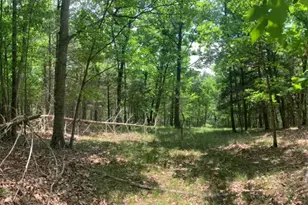 0 Slate Rock Run, Wardensville, WV 26851 - Photo 1