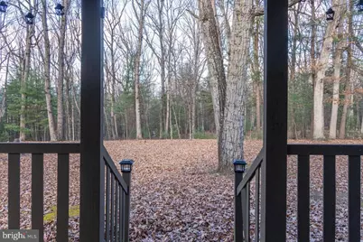 800 Cove Mountain Road, Mathias, WV 26812 - Photo 11