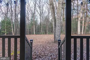 800 Cove Mountain Rd, Mathias, WV 26812 - Photo 11