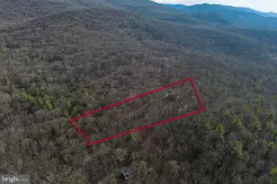 800 Cove Mountain Rd, Mathias, WV 26812 - Photo 7