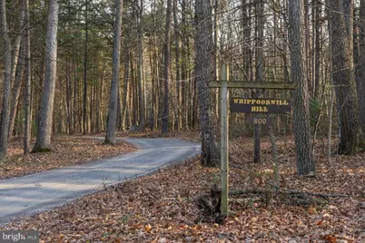 800 Cove Mountain Road, Mathias, WV 26812 - Photo 67