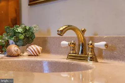 800 Cove Mountain Road, Mathias, WV 26812 - Photo 49