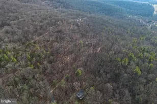 800 Cove Mountain Rd, Mathias, WV 26812 - Photo 81