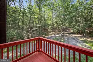 393 Timber Run Rd, Mathias, WV 26812 - Photo 11