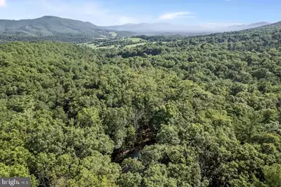 393 Timber Run Rd, Mathias, WV 26812 - Photo 31