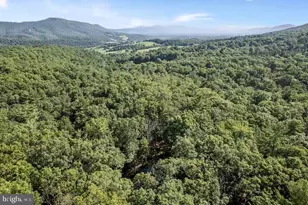 393 Timber Run Rd, Mathias, WV 26812 - Photo 31