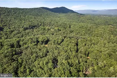 393 Timber Run Rd, Mathias, WV 26812 - Photo 29