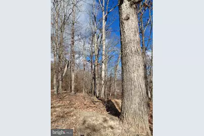 344 Orchard Lane, Moorefield, WV 26836 - Photo 35