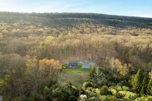 529 Posy Hill Rd, Wardensville, WV 26851 - Photo 49