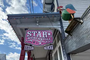 529 Posy Hill Rd, Wardensville, WV 26851 - Photo 57