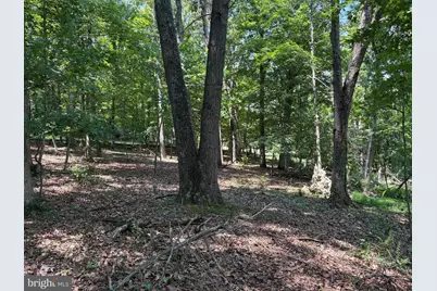 16 Rolling Acres Drive, Old Fields, WV 26845 - Photo 11