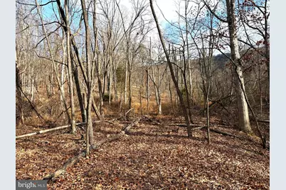 16 Rolling Acres Drive, Old Fields, WV 26845 - Photo 11