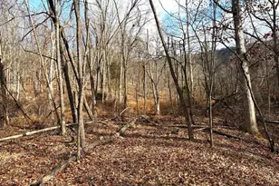 16 Rolling Acres Dr, Old Fields, WV 26845 - Photo 11