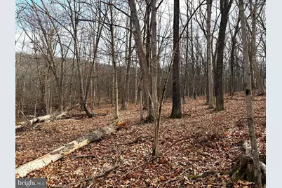 16 Rolling Acres Drive, Old Fields, WV 26845 - Photo 9