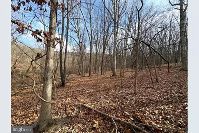 16 Rolling Acres Drive, Old Fields, WV 26845 - Photo 7