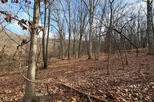 16 Rolling Acres Dr, Old Fields, WV 26845 - Photo 7