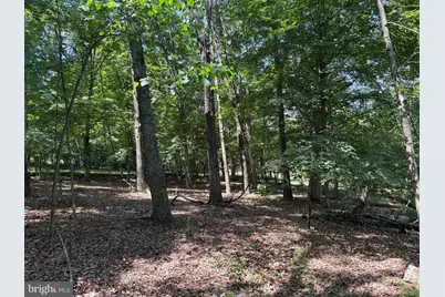 16 Rolling Acres Drive, Old Fields, WV 26845 - Photo 9