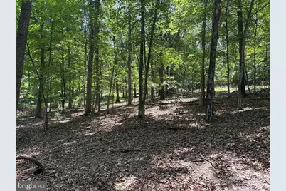 16 Rolling Acres Drive, Old Fields, WV 26845 - Photo 5