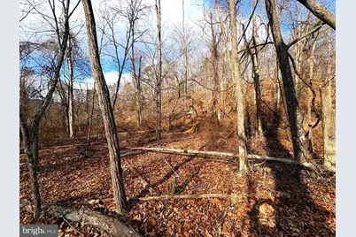 16 Rolling Acres Drive, Old Fields, WV 26845 - Photo 13