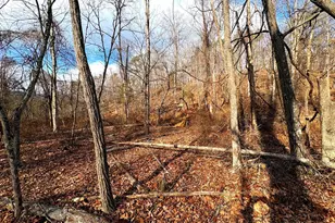 16 Rolling Acres Dr, Old Fields, WV 26845 - Photo 13