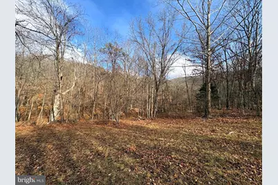 16 Rolling Acres Drive, Old Fields, WV 26845 - Photo 5